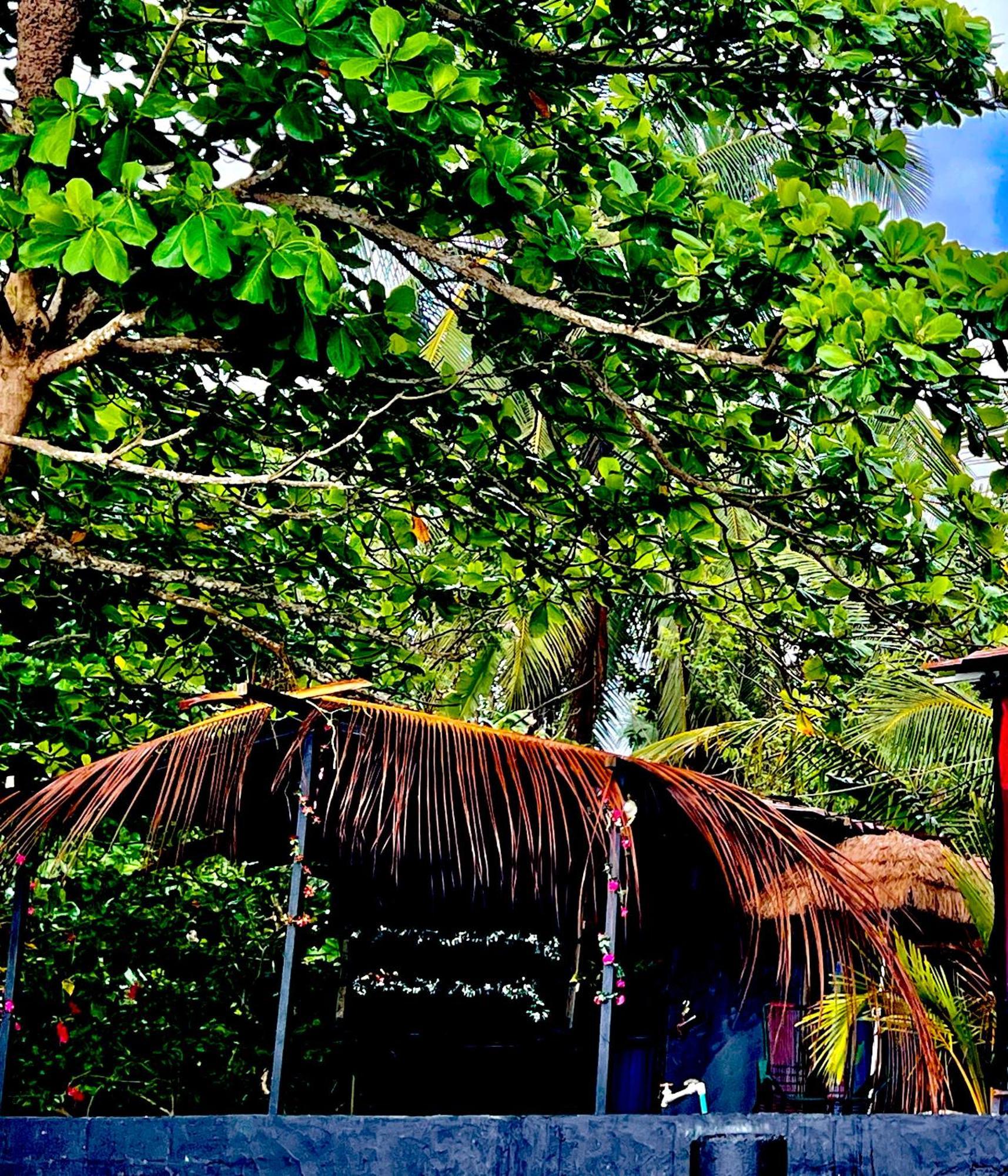 Beachfront Paradise Manuel Antonio Buitenkant foto