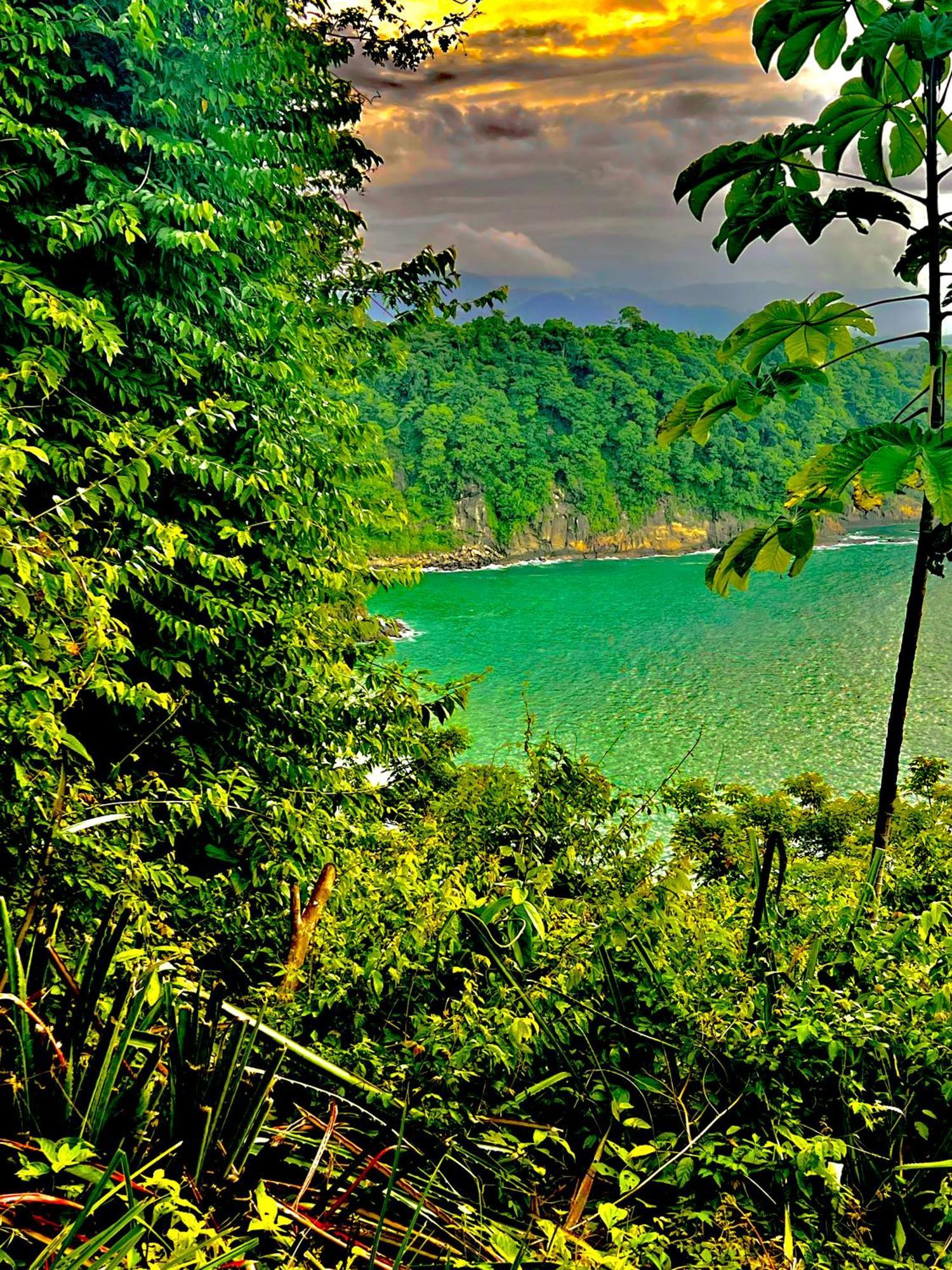 Beachfront Paradise Manuel Antonio Buitenkant foto