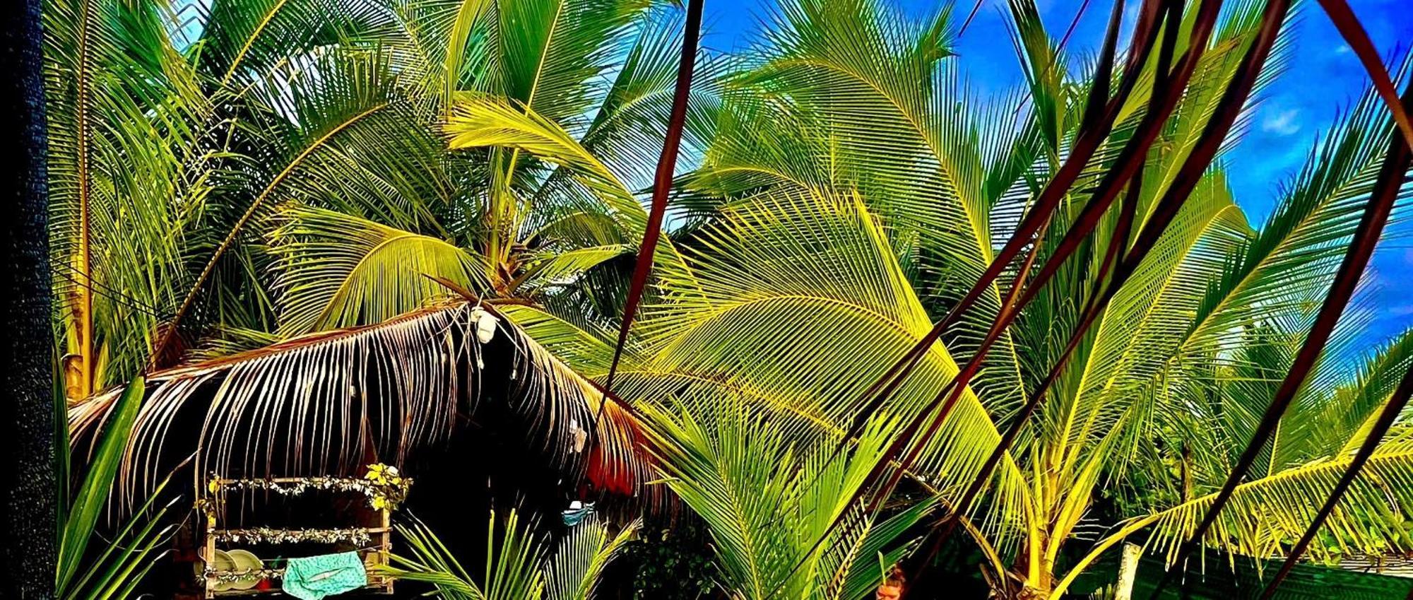 Beachfront Paradise Manuel Antonio Buitenkant foto