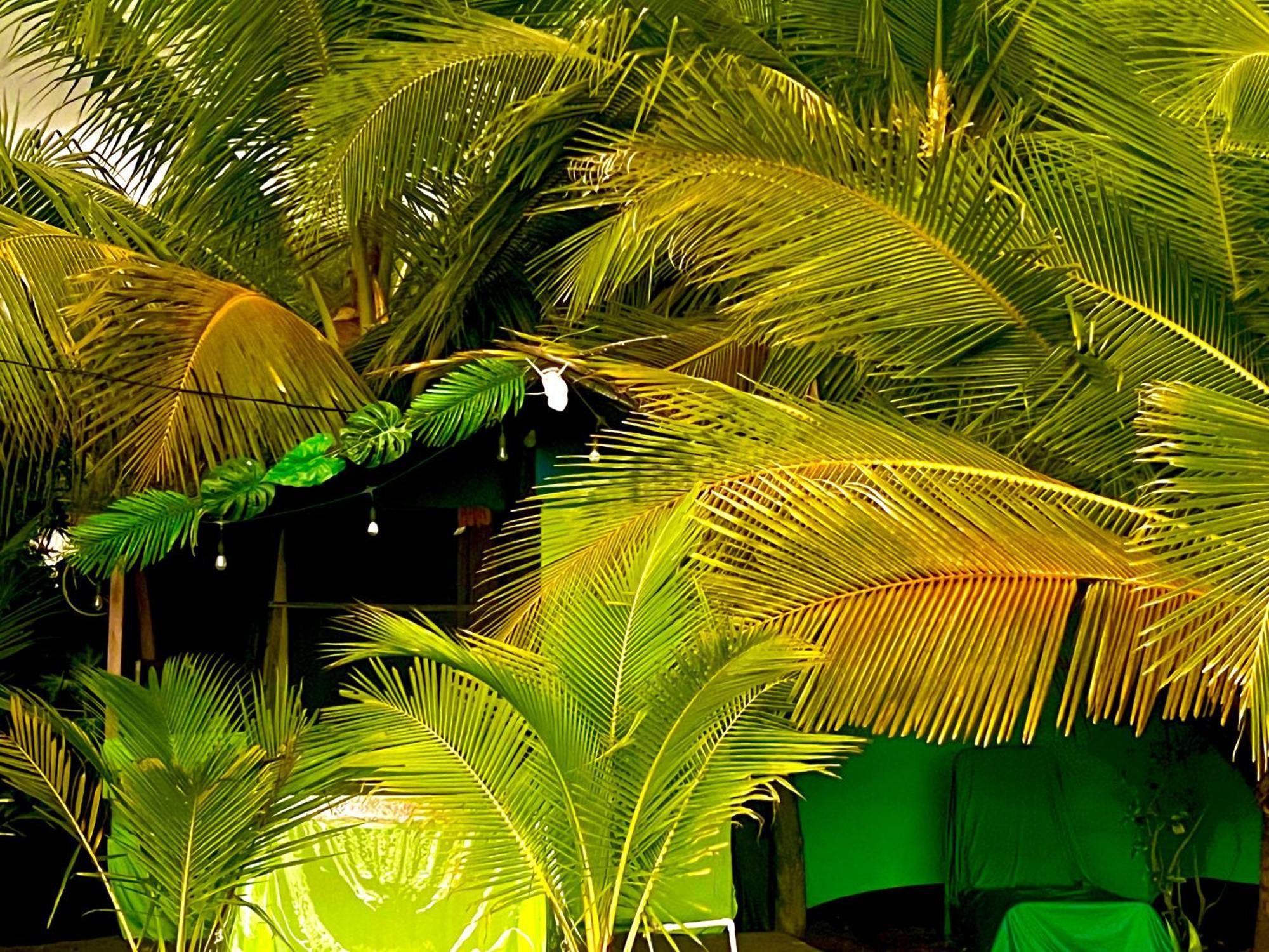 Beachfront Paradise Manuel Antonio Buitenkant foto